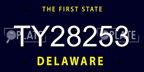 TY28253 Delaware License Plate