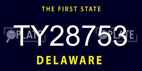 TY28753 Delaware License Plate