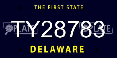 TY28783 Delaware License Plate