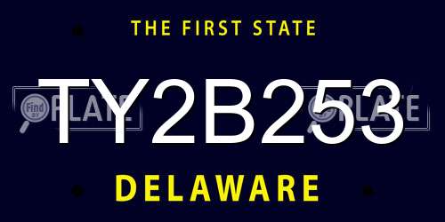 TY2B253 Delaware License Plate