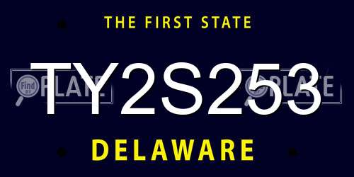TY2S253 Delaware License Plate