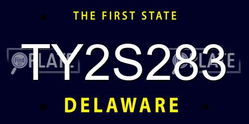 TY2S283 Delaware License Plate