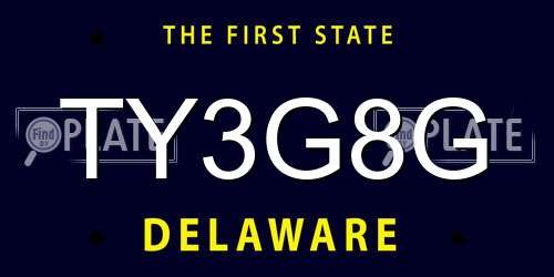 TY3G8G Delaware License Plate
