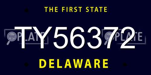 TY56372 Delaware License Plate