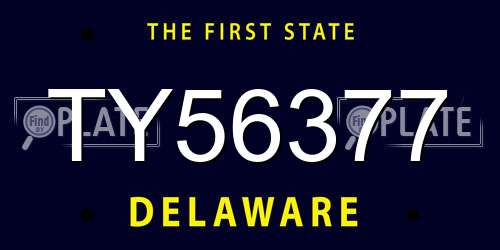 TY56377 Delaware License Plate