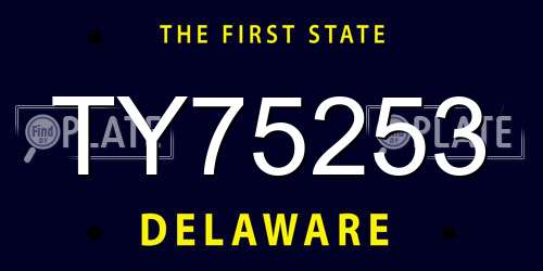 TY75253 Delaware License Plate
