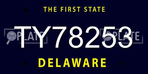 TY78253 Delaware License Plate