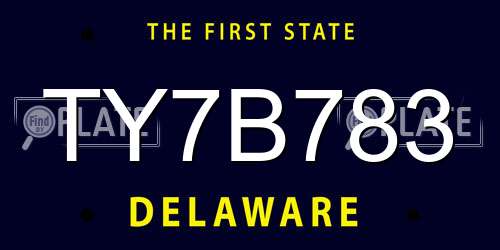 TY7B783 Delaware License Plate