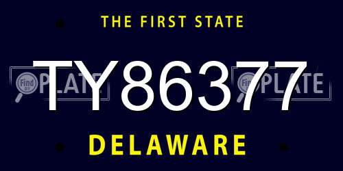 TY86377 Delaware License Plate