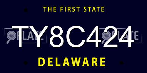 TY8C424 Delaware License Plate