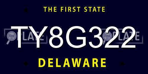 TY8G322 Delaware License Plate