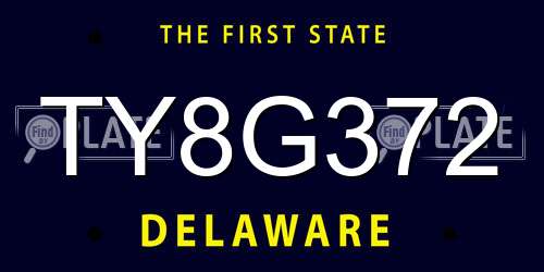 TY8G372 Delaware License Plate
