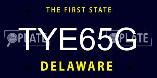 TYE65G Delaware License Plate
