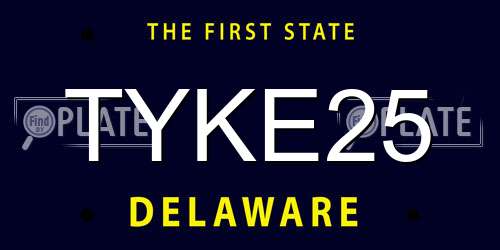 TYKE25 Delaware License Plate