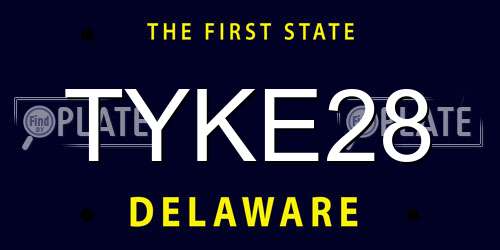 TYKE28 Delaware License Plate