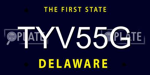 TYV55G Delaware License Plate