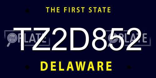 TZ2D852 Delaware License Plate