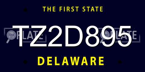 TZ2D895 Delaware License Plate