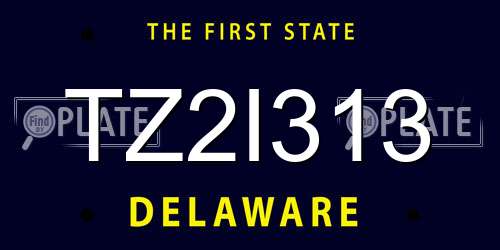 TZ2I313 Delaware License Plate