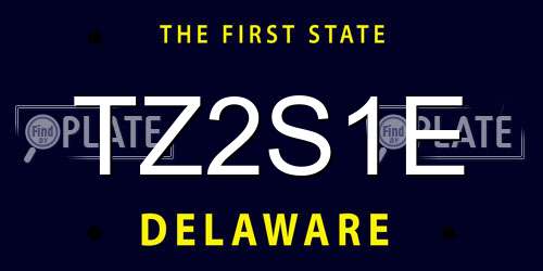 TZ2S1E Delaware License Plate