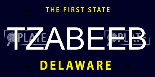 TZABEEB Delaware License Plate