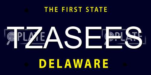 TZASEES Delaware License Plate