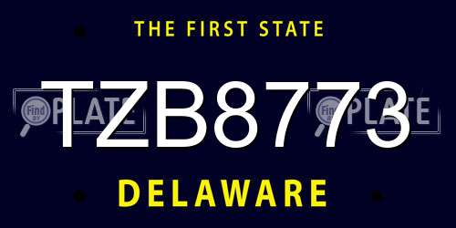 TZB8773 Delaware License Plate