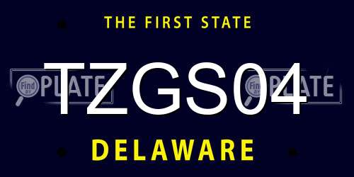 TZGS04 Delaware License Plate