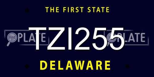 TZI255 Delaware License Plate