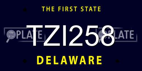 TZI258 Delaware License Plate