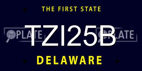 TZI25B Delaware License Plate