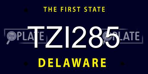 TZI285 Delaware License Plate