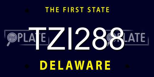 TZI288 Delaware License Plate