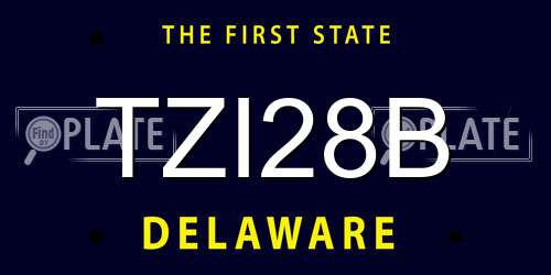 TZI28B Delaware License Plate
