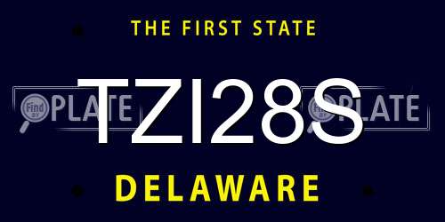 TZI28S Delaware License Plate