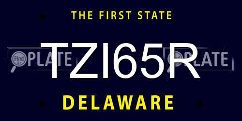 TZI65R Delaware License Plate