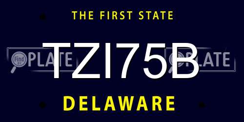TZI75B Delaware License Plate