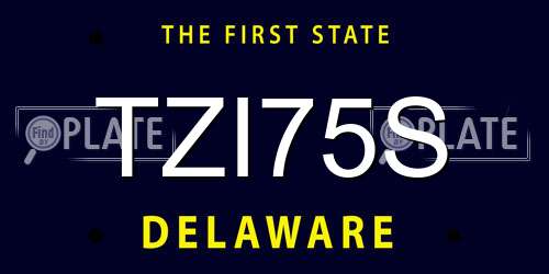 TZI75S Delaware License Plate