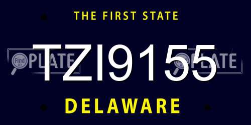TZI9155 Delaware License Plate