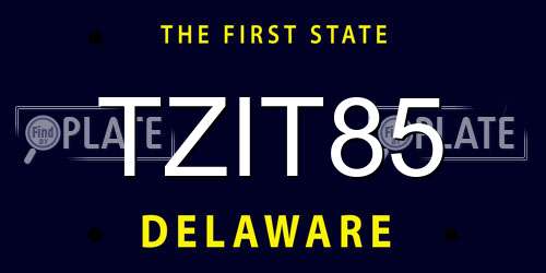 TZIT85 Delaware License Plate