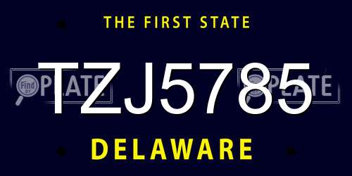 TZJ5785 Delaware License Plate
