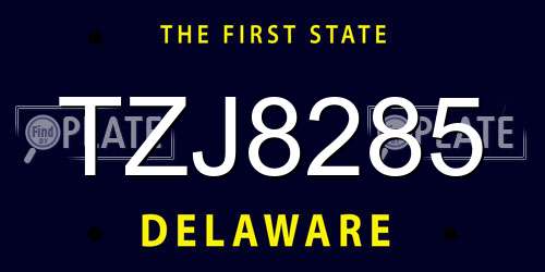 TZJ8285 Delaware License Plate