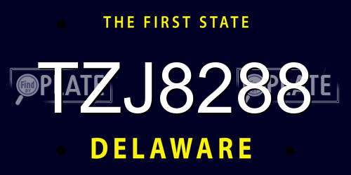 TZJ8288 Delaware License Plate