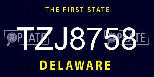 TZJ8758 Delaware License Plate