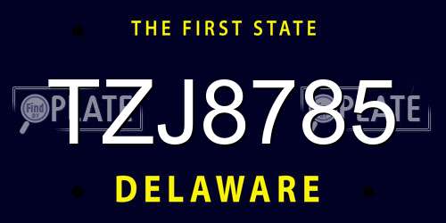 TZJ8785 Delaware License Plate