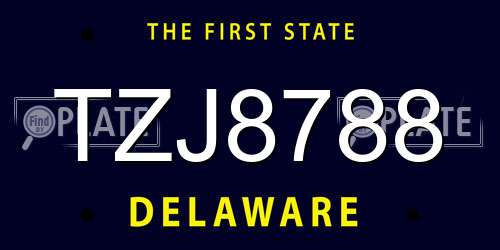 TZJ8788 Delaware License Plate