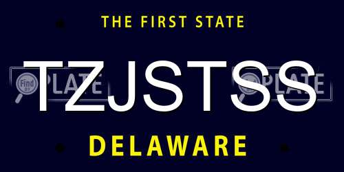 TZJSTSS Delaware License Plate