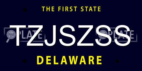 TZJSZSS Delaware License Plate