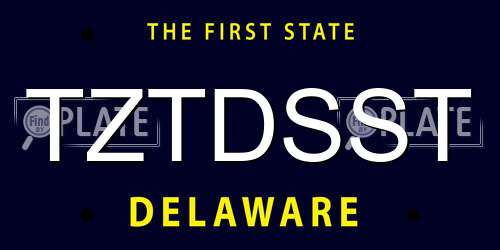 TZTDSST Delaware License Plate