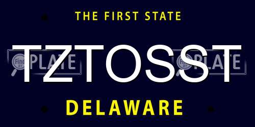 TZTOSST Delaware License Plate